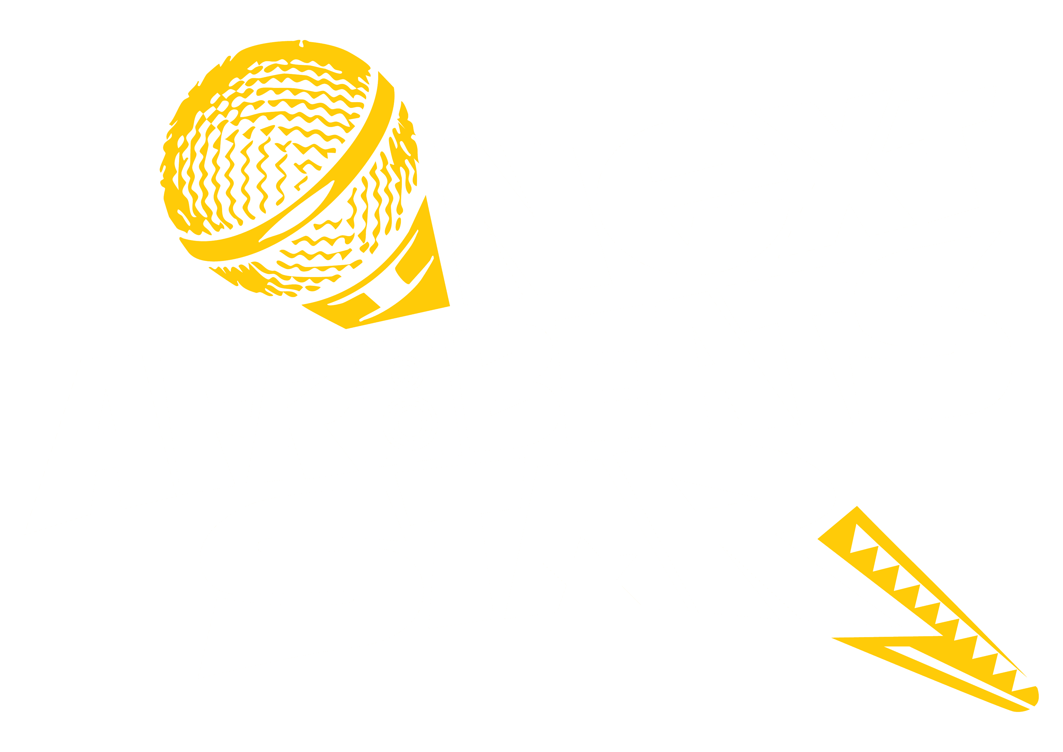 Next Afrobeats Star